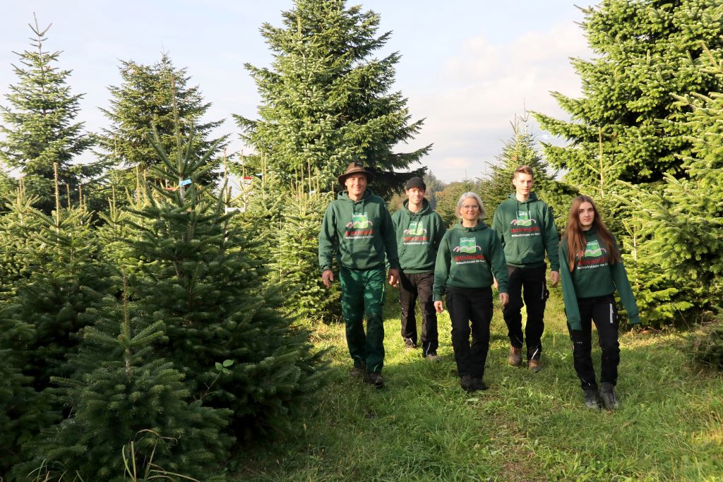 Mit Weihnachtsbäumen kennen wir uns aus Weihnachtsbaum das ganze Jahr