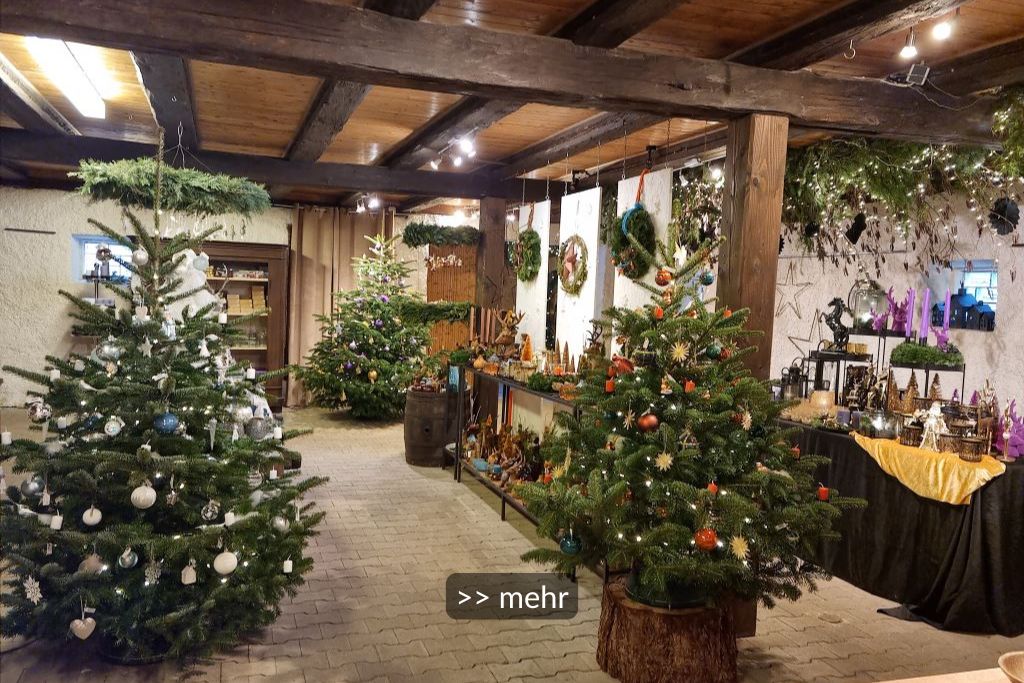 Weihnachtsbaum kaufen am Sonntag Weihnachtsbaum kaufen Göppingen Schorndorf